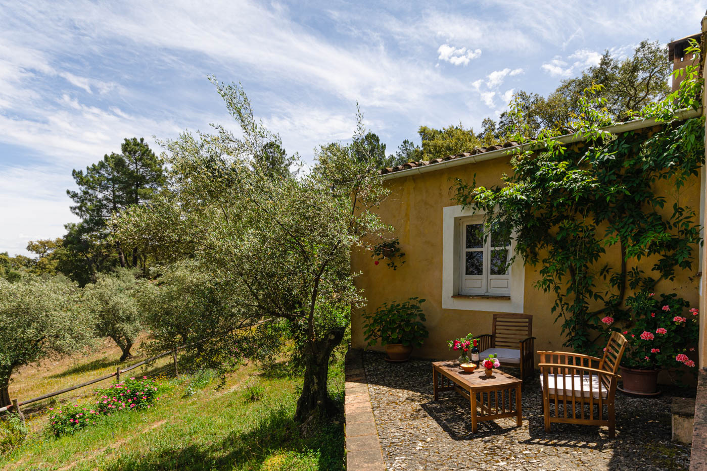 Front terrace with views